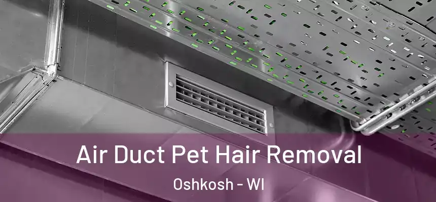 Air Duct Pet Hair Removal Oshkosh - WI