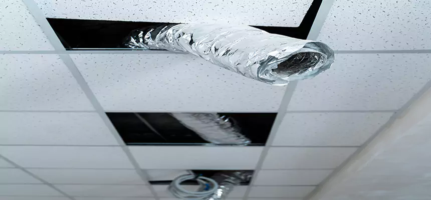 Affordable HVAC Sanitizing After Pest Removal in Oshkosh