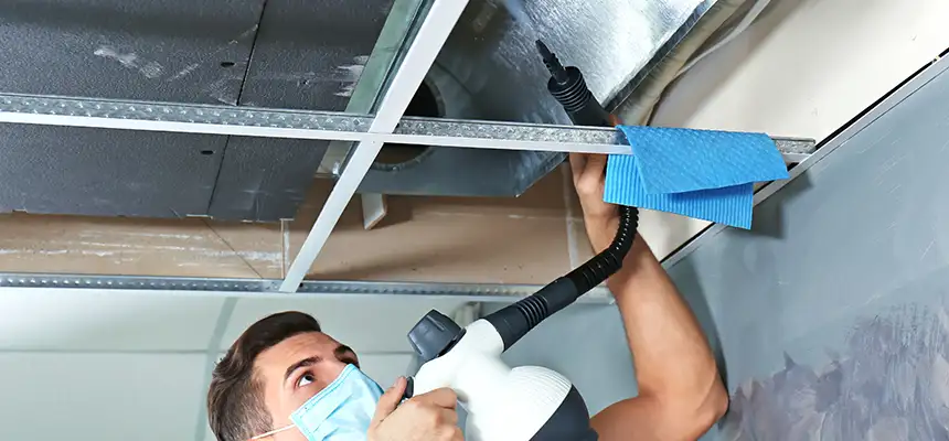 Our Air Duct Rodent Removal Services in Oshkosh, WI