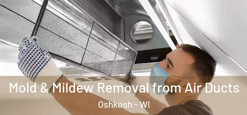 Mold & Mildew Removal from Air Ducts Oshkosh - WI