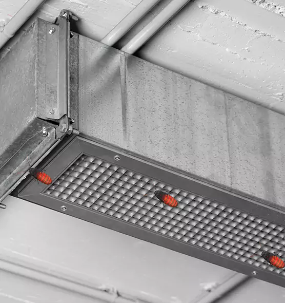 About Air Duct Cockroach Removal in Oshkosh, WI