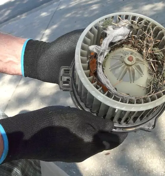 About Air Duct Rat Removal in Oshkosh, WI