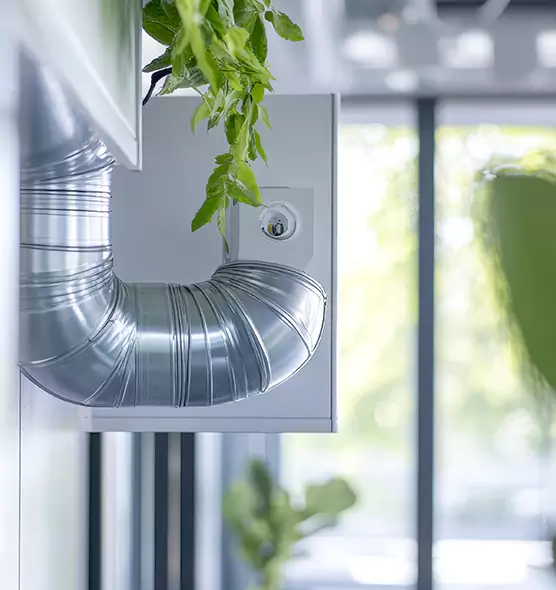 Professional Eco-Safe Dryer Vent Cleaning in Oshkosh, WI