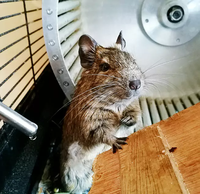 Why Homeowners & Businesses Trust Us Oshkosh, WI