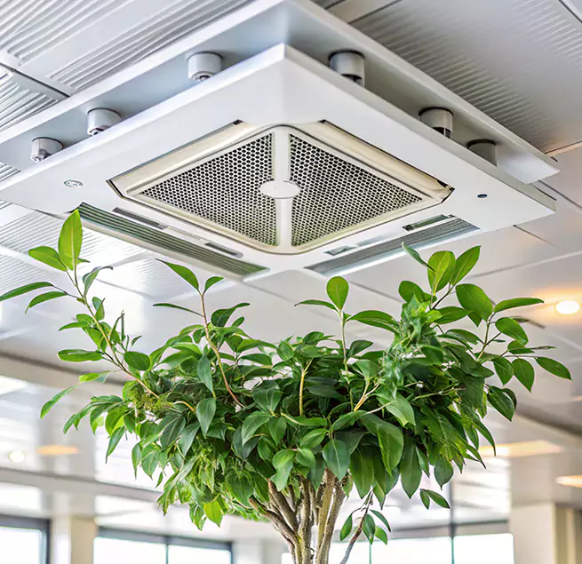 Why Homeowners & Businesses Trust Us in Oshkosh, WI?