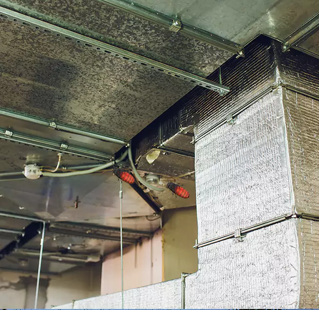 Why Homeowners & Businesses Trust Us Oshkosh, WI?